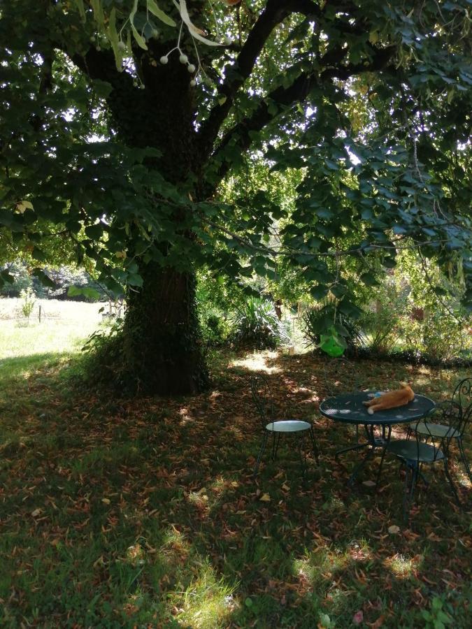 En Plein Air Ferienhaus *